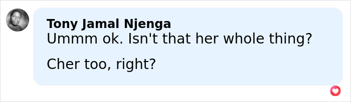 Facebook comment by Tony Jamal Njenga questioning Madonna and Cher in relation to Dolce & Gabbana ad controversy.