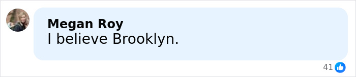 Screenshot of a social media comment by Megan Roy reacting to Brooklyn Beckham&rsquo;s viral family rift revelation.