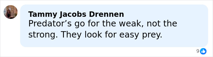 Comment discussing predators targeting the weak, reflecting concerns about Hollywood predators and child safety.