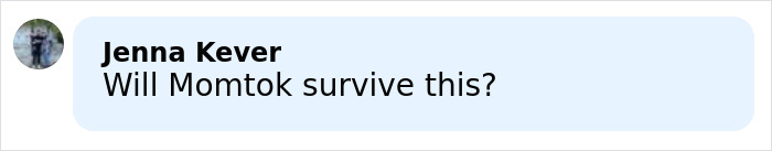 "Keep Making Her Point": Support For Ashley Tisdale After Hilary Duff's Husband's Brutal Post