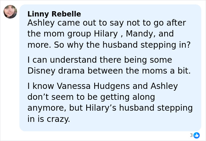 "Keep Making Her Point": Support For Ashley Tisdale After Hilary Duff's Husband's Brutal Post