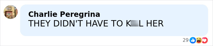 Comment expressing outrage about the mom of a 6-year-old slain by ICE in her car in Minneapolis.