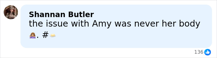 Social media comment about Amy Schumer trolling herself amid divorce and backlash over bikini photos.