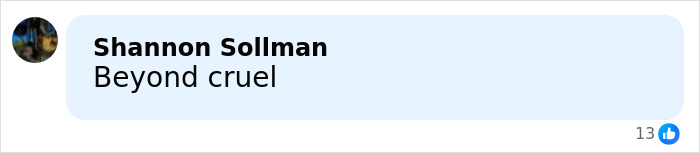 Comment on social media reading Beyond cruel, responding to ICE defending detained father missing son's funeral.