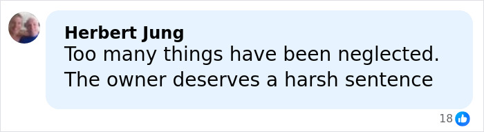Comment by Herbert Jung expressing concern about neglect and calling for harsh sentencing related to Swiss bar fire incident.