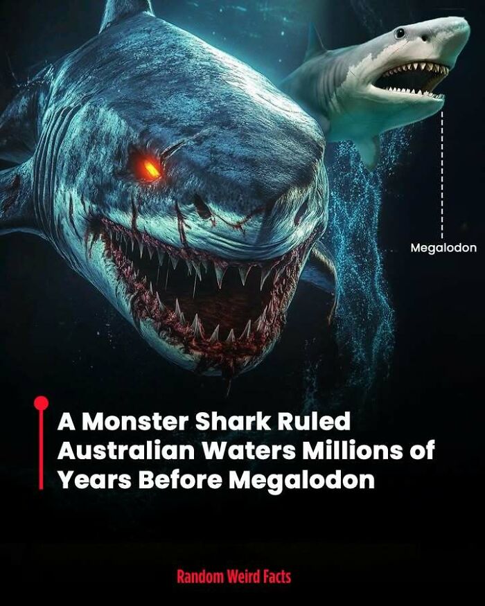 Giant prehistoric monster shark with glowing eye next to a megalodon, illustrating interesting facts that rethink history.