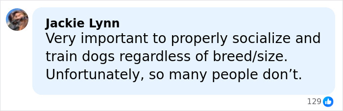Comment by Jackie Lynn stressing the importance of properly socializing and training dogs regardless of breed or size. Comment by Jackie Lynn stressing the importance of properly socializing and training dogs regardless of breed or size.