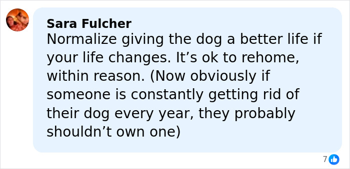 Comment supporting pet rehoming after life changes, mentioning rehoming pets and responsible dog ownership. Comment supporting pet rehoming after life changes, mentioning rehoming pets and responsible dog ownership.