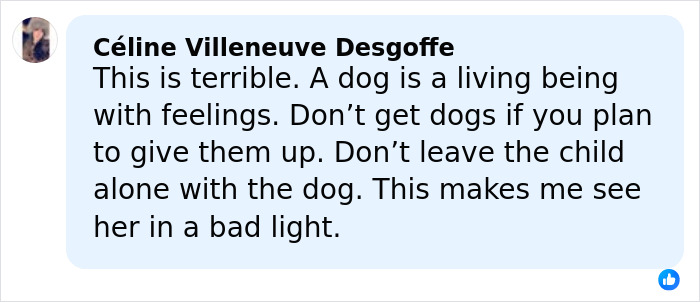 Comment expressing outrage over Jennifer Lawrence rehoming her pet after 9 years, highlighting dog welfare concerns. Comment expressing outrage over Jennifer Lawrence rehoming her pet after 9 years, highlighting dog welfare concerns.