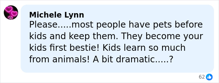 Comment from Michele Lynn expressing opinions on pets, kids, and the emotional impact linked to rehoming pets controversy. Comment from Michele Lynn expressing opinions on pets, kids, and the emotional impact linked to rehoming pets controversy.