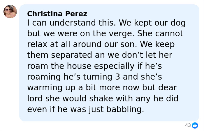 Comment from Christina Perez explaining challenges with her dog adapting around a young child, related to pet rehoming. Comment from Christina Perez explaining challenges with her dog adapting around a young child, related to pet rehoming.