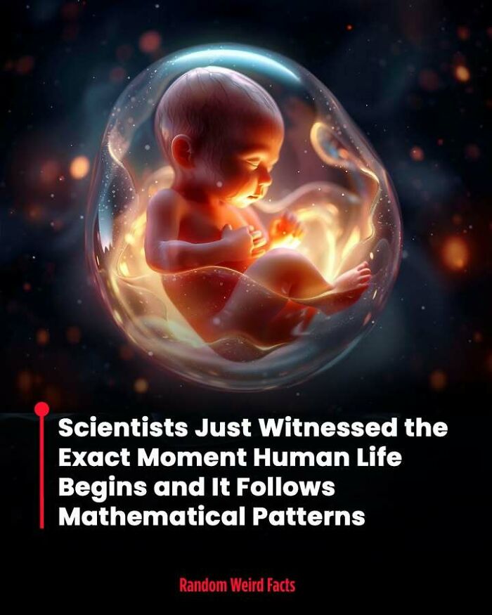 Fetus glowing inside a translucent sac, illustrating intriguing facts about human life and mathematical patterns.