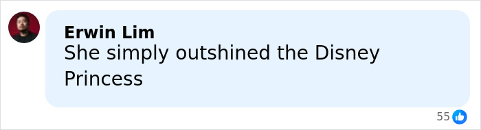 Comment by Erwin Lim praising the viral Evil Queen who outshined the Disney Princess after getting fired from Disneyland.
