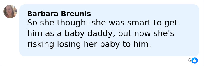 Comment about Elon Musk's 13th child with conservative influencer expressing concerns over custody risks.