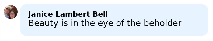 Social media comment from Janice Lambert Bell reading Beauty is in the eye of the beholder, related to Cher rude comment Social media comment from Janice Lambert Bell reading Beauty is in the eye of the beholder, related to Cher rude comment