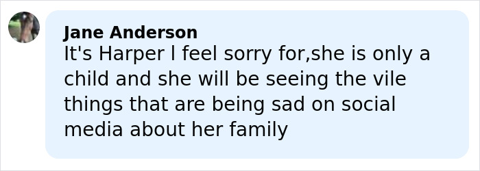Comment from Jane Anderson expressing sympathy for Harper amidst social media negativity about her family.