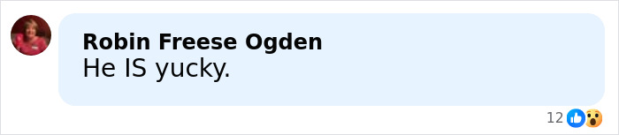 Comment by Robin Freese Ogden stating He IS yucky, reacting to Pamela Anderson wanting apology from Seth Rogen after Golden Globes incident.