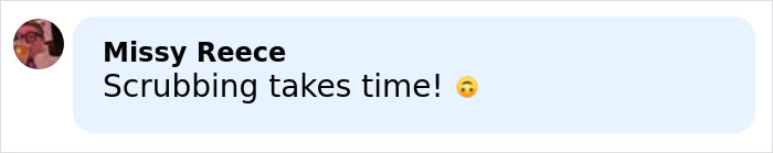 Comment by Missy Reece saying Scrubbing takes time with a worried emoji on a social media post. Comment by Missy Reece saying Scrubbing takes time with a worried emoji on a social media post.