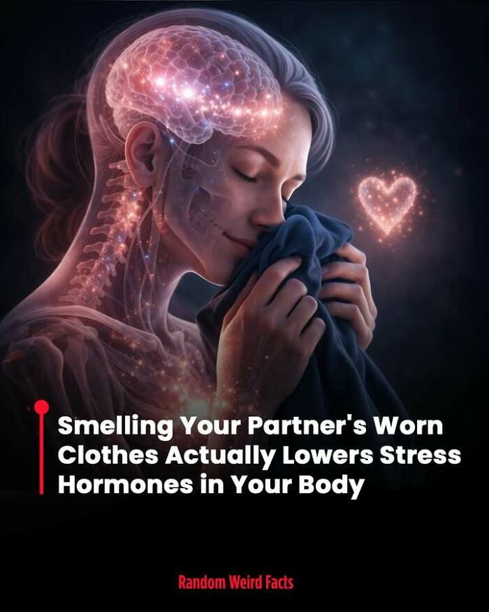 Woman smelling worn clothes with glowing brain illustration representing facts that linger in your head about stress relief.