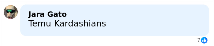 Comment bubble with text Temu Kardashians and a profile picture of a person wearing sunglasses, related to adult stars arrested and kicked off flight.