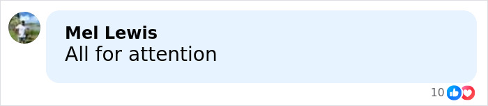 Screenshot of a social media comment saying all for attention related to adult stars arrested and kicked off flight.