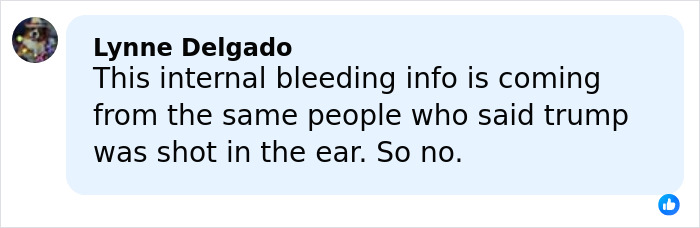 Screenshot of a Facebook comment by Lynne Delgado responding to information about ICE agent Jonathan Ross.