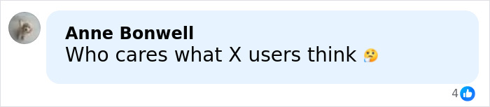 Social media comment questioning the opinions of X users amid Stephen King ICE agent backlash.
