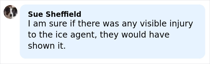Comment by Sue Sheffield expressing doubt about visible injury to ICE agent amid Stephen King backlash online.