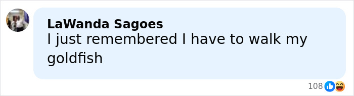 Screenshot of a social media comment about walking a goldfish, related to viral images and Melania Trump's documentary.