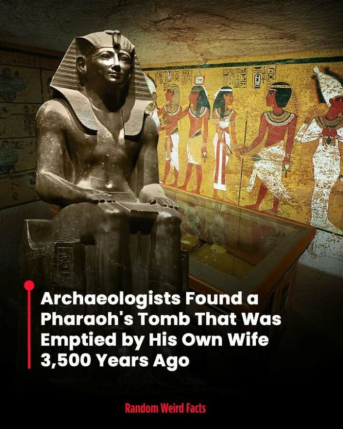 Ancient Egyptian pharaoh statue and wall paintings illustrating intriguing facts that linger in your head for days.