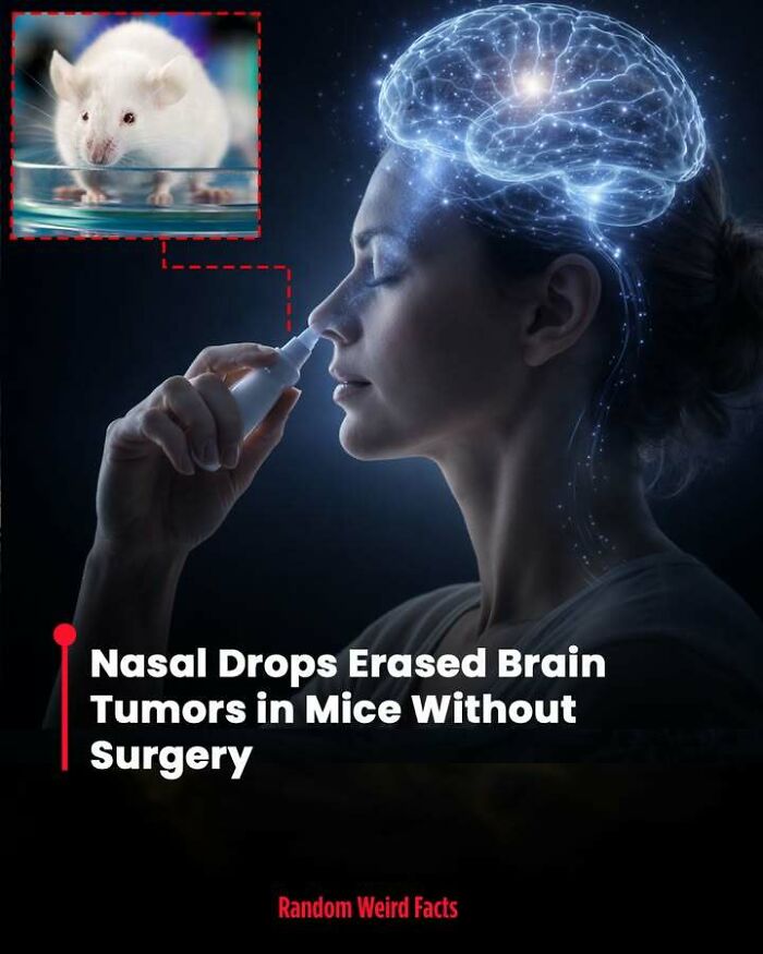 Woman using nasal drops with visual of brain and a mouse, illustrating facts that linger in your head about brain tumor treatment.