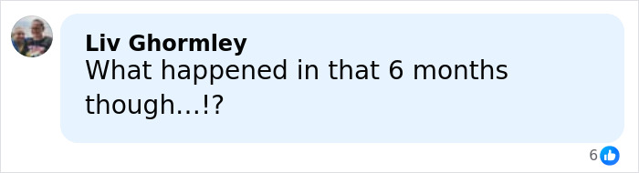 Social media comment bubble reading What happened in that 6 months though!? next to profile thumbnail - Closure Social media comment bubble reading What happened in that 6 months though!? next to profile thumbnail - Closure