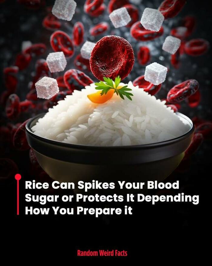 Bowl of white rice with red blood cells and sugar cubes floating, illustrating blood sugar facts.