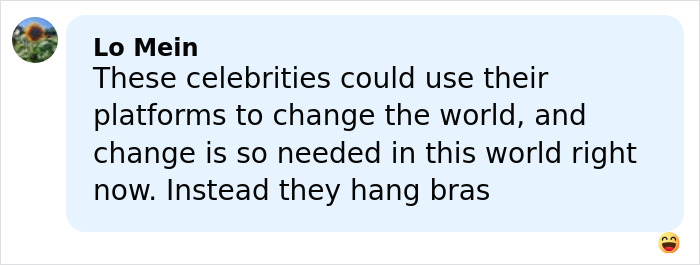 User comment on social media post discussing celebrities and activism, mentioning hanging bras as a protest.