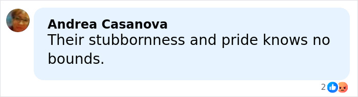 Comment by Andrea Casanova on legal battle, expressing opinion about stubbornness and pride in a text message format