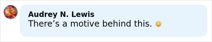 Comment from Audrey N. Lewis saying There's a motive behind this with an astonished emoji.