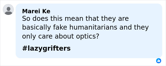 Comment criticizing Prince Harry and Meghan Markle as fake humanitarians, mentioning optics and #lazygrifters hashtag.
