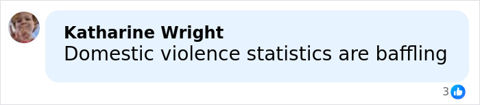 Comment about domestic violence statistics, shown in a social media post by Katharine Wright.