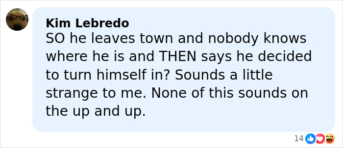 Comment from Kim Lebredo expressing doubt about timeline and honesty related to surrender in a criminal case involving federal agents.