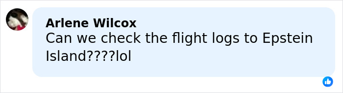 Comment from Arlene Wilcox asking to check flight logs to Epstein Island, displayed in a social media post.