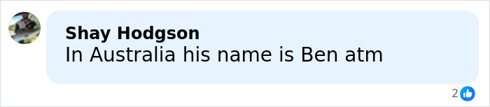 Comment from Shay Hodgson discussing the name for the male Karen chosen by Gen Z in Australia. Comment from Shay Hodgson discussing the name for the male Karen chosen by Gen Z in Australia.