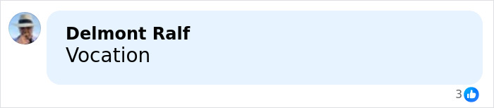 Person named Delmont Ralf commenting with the word Vocation on a social media post.