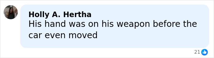 Comment from Holly A. Hertha stating his hand was on his weapon before the car moved in discussion about woman slain by ICE in Minneapolis.