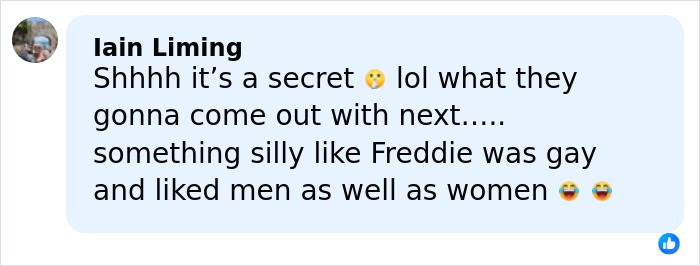 Screenshot of a social media comment discussing Freddie Mercury and rumors about his secret daughter.