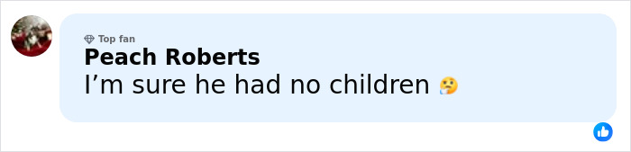 Comment from social media user Peach Roberts expressing doubt about Freddie Mercury having children.