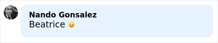 Comment by Nando Gonsalez saying Beatrice with a sad emoji, related to Freddie Mercury's secret daughter passing away.