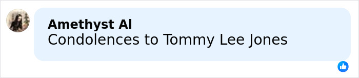 Comment expressing condolences to Tommy Lee Jones on a social media platform, related to Victoria Jones 9/11 call theory.