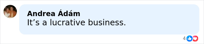 Screenshot of social media comment stating it is a lucrative business related to ICE agent fundraiser controversy.