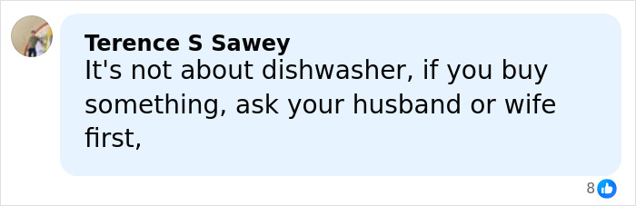 Commenter discussing the husband&rsquo;s violent reaction after wife buys $215 dishwasher without telling him.