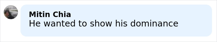 Comment by Mitin Chia stating he wanted to show his dominance in a discussion about divorce him.